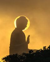 Boeddha in de zon