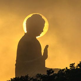 Buddha in der Sonne von Rudmer Hoekstra