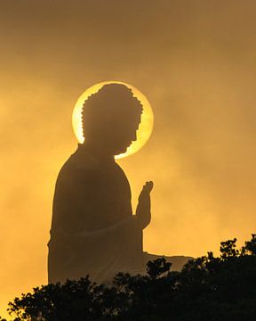 Buddha in der Sonne von Rudmer Hoekstra