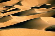 Sanddünen in der Sahara von Frans Lemmens Miniaturansicht