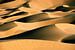 Sanddünen in der Sahara von Frans Lemmens