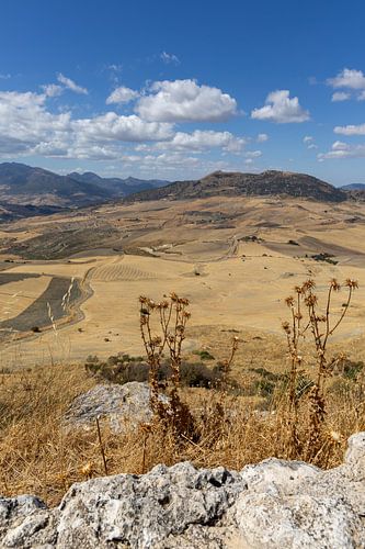 Landschapsfoto in Andalusische zomer. Kaal landschap onder een blauwe hemel, Andalusië, Spanje