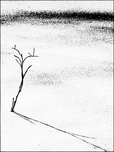 Minimalistisches Kunstwerk – Botanische Landschaft in Schwarz-Weiß