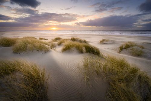 Earth To Sea van Thom Brouwer