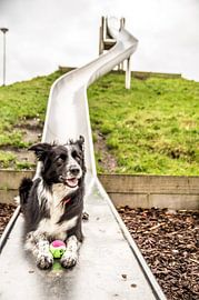 Altijd speels by Luc Brouwer