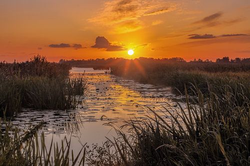 Sunrise De Onlanden Drenthe