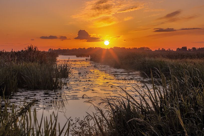 Sunrise De Onlanden Drenthe von R Smallenbroek