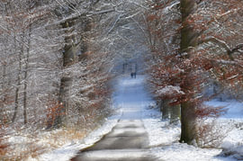 WINTERMÄRCHEN 6 von Miroslav Ptacek