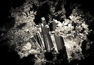 Keltische graven van Daphne Elderenbos thumbnail