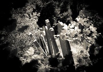 Keltische graven van Daphne Elderenbos
