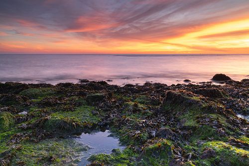 Laagjes van de natuur