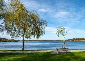Landschap van het Nationaal Park Müritz in het Mecklenburgse merengebied in Duitsland van Animaflora PicsStock