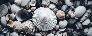 Beach Impressions No 33
