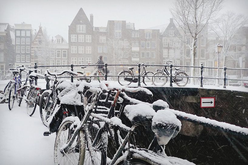 Amsterdam snow by Marianna Pobedimova