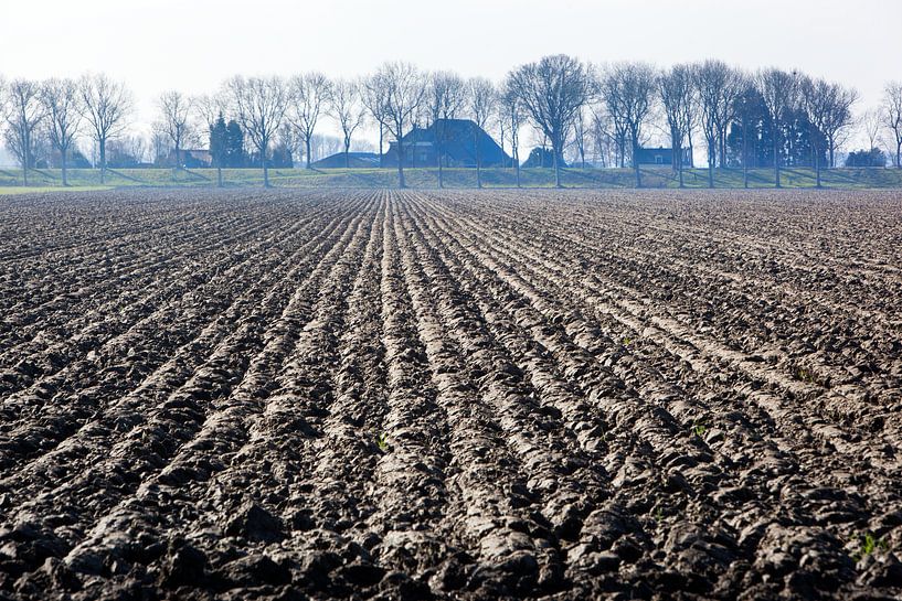 Ploughed field in the Hoeksewaard by Peter de Kievith Fotografie