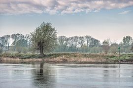 Morgenstimmung auf der IJssel in der Nähe der Stadt Zutphen von Harrie Muis
