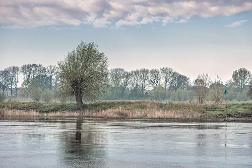 Morgenstimmung auf der IJssel in der Nähe der Stadt Zutphen