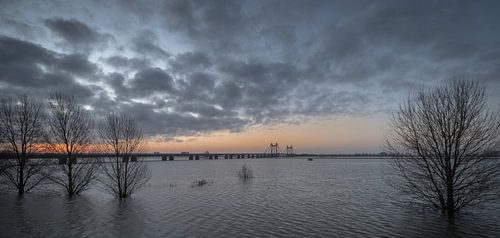 Hoogwater bij Prins Willem Alexanderbrug in Echteld