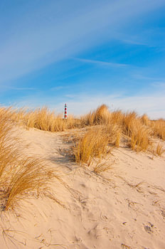 Amrum