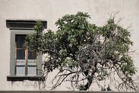 Op een Italiaanse binnenplaats