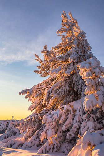 Vue sur le Keilberg sur Daniela Beyer
