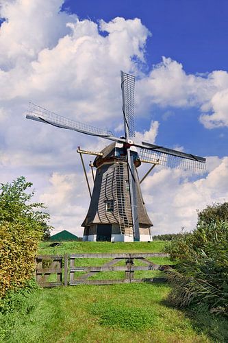 Dutch traditional windmill in a grassland, blue sky and clouds 2
