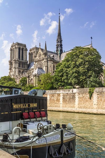 PARIS Kathedrale Notre-Dame von Melanie Viola