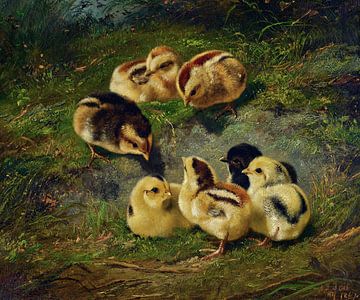 Arthur Fitzwilliam Tait,Poulets sur un rocher