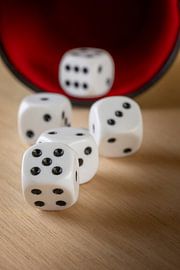 Rolling dice by Francisco Dorsman