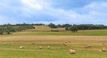 France Dordogne
