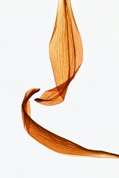 Connecting by Christine de Vogel