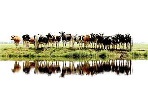Kühe in Reih und Glied von Annemieke van der Wiel
