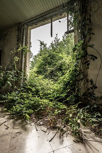 Verlaten Paradijs | Kupari