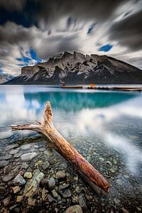 Souche sur le lac Minnewanka