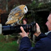 Co Bliekendaal profielfoto