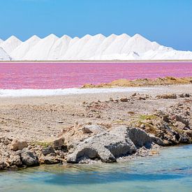 Paysage avec montagnes de sel blanc et lac de sel rose sur Bonaire sur Ben Schonewille