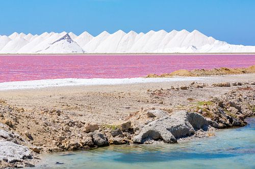 Landscape with mountains of white salt and pink salt lake on Bonaire by Ben Schonewille