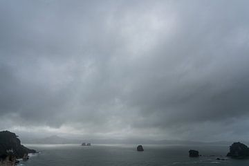Donkere wolken boven de kust bij Heiha, Nieuw-Zeeland van Niek