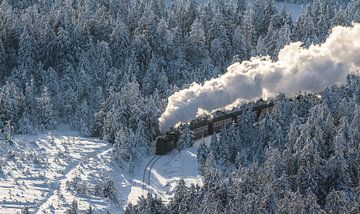 Harz smalspoor in de winter van Patrice von Collani