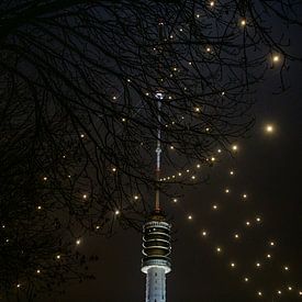 Der größte Weihnachtsbaum der Welt leuchtet wieder über Utrecht von Mel Boas