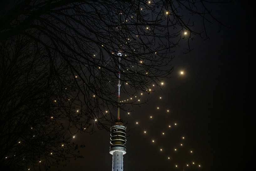 Le plus grand sapin de Noël du monde brille à nouveau au-dessus d'Utrecht par Mel Boas