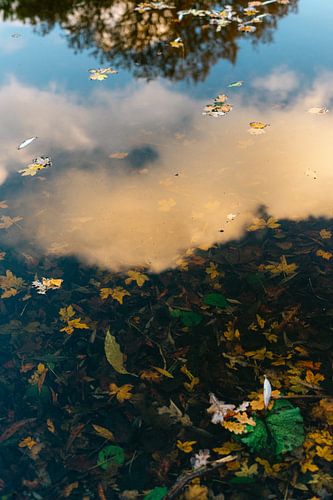 Autumnal reflections in the water, Naarden Vesting, Netherlands
