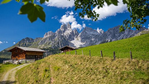 Berglandschap "Alm"