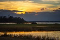 The golden Black Lake