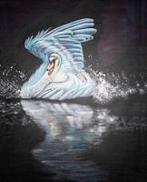 Landing swan in pastel