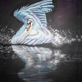 Landende zwaan in pastel van Sissi Waasdorp