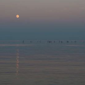 Moon with reflection over the sea by Michiel Mos