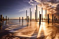 Palendorp Petten