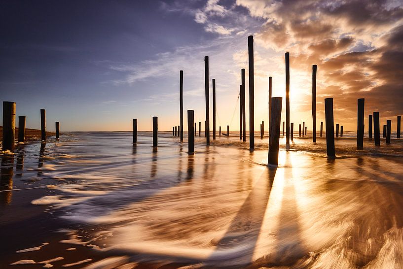 Palendorp Petten by Peter de Jong