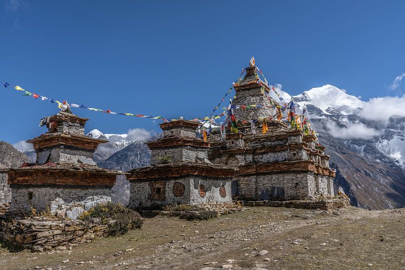 Stupas in de Himalaya Nepal van Tessa Louwerens